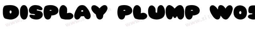 Display Plump W05字体转换